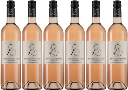 6x Spätburgunder Rosé 2023 - Weingut & Gästehaus Beyer-Bähr, Rheinhessen - Rosé von Weingut & Gästehaus Beyer-Bähr