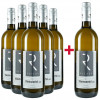 Rieder 2024 5+1 Paket Grüner Veltliner Weinviertel DAC von Weingut & TOP-Heuriger Rieder