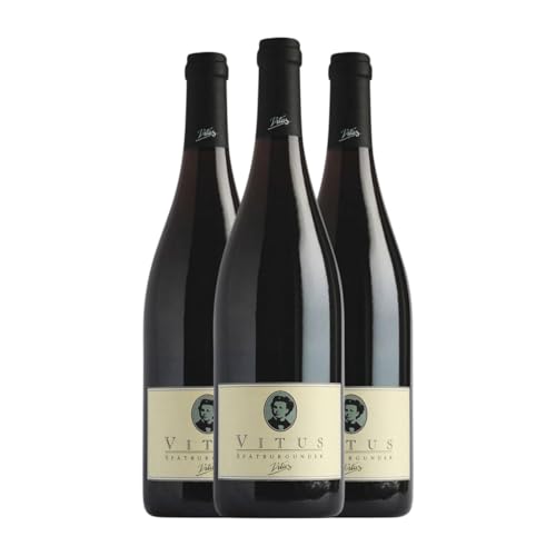 Joachim Heger Vitus Barrique Spätburgunder Trocken Baden 75 cl Rotwein (Karton mit 3 Flaschen von 75 cl) von Weinhaus Joachim Heger