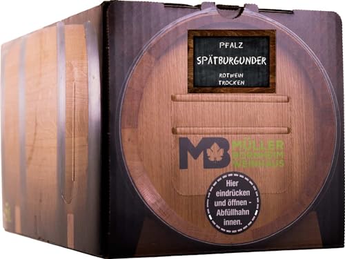 Weinhaus Müller Bornheim 5L Bag in Box Pfälzer Spätburgunder Rotwein trocken 2022 - Qualitäts-Rotwein trocken aus der Pfalz - Pinot Nero Qualitätswein trocken - Red Wine made in Germany von Weinhaus Müller Bornheim