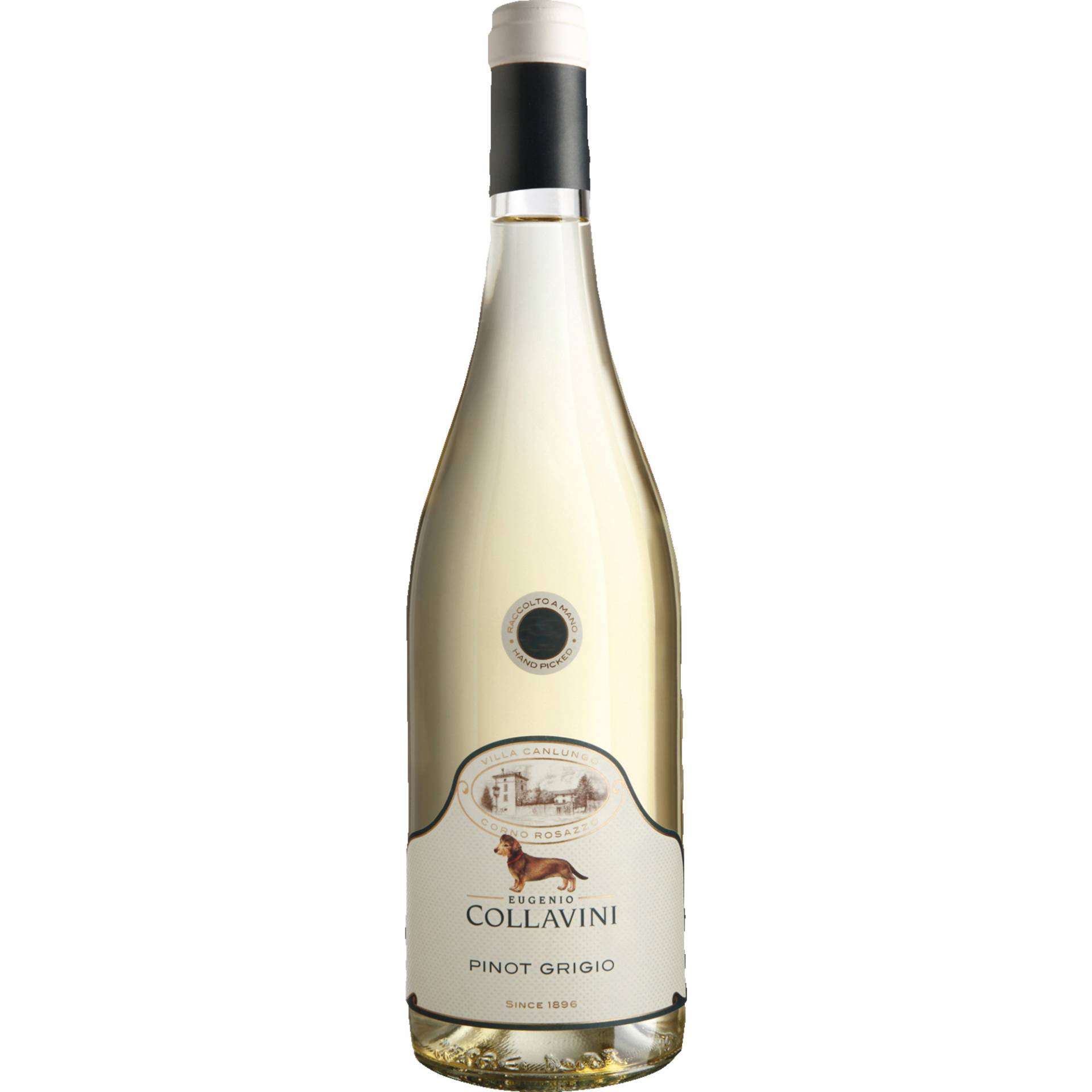 Collavini Pinot Grigio, Friaul IGT, Friaul, 2023, Weißwein von Weinland Ariane Abayan GmbH,20251,Hamburg,Deutschland