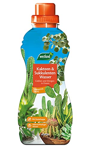 Westland® Kakteen und Sukkulenten Wasser, 720 ml von Westland