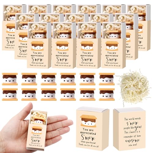 Wettarn S'More Marshmallow-Ornamente mit Mini-Geschenk-Box, Dankeschön-Geschenke, inspirierende Wortspiele, Notizen, Geschenke für Büro, Kollegen, Mitarbeiter, 24 Sets von Wettarn