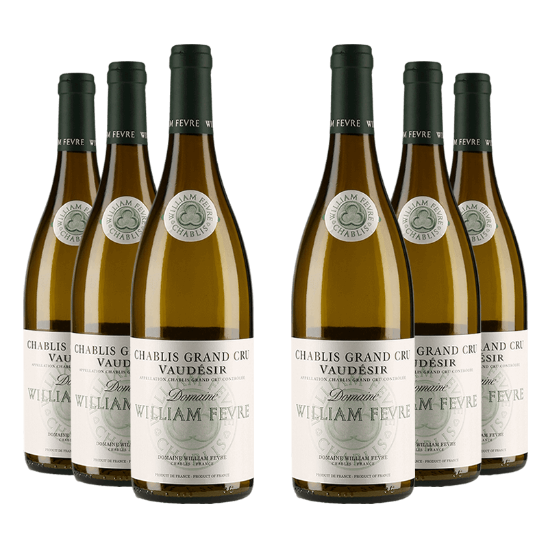 William Fèvre : Chablis Grand cru "Vaudésir" Domaine 2023 von William Fèvre