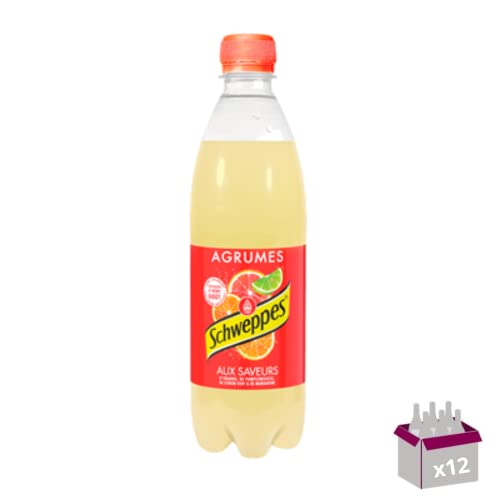 Soda Zitrusfrüchte – 12 x 50 ml von Wine And More