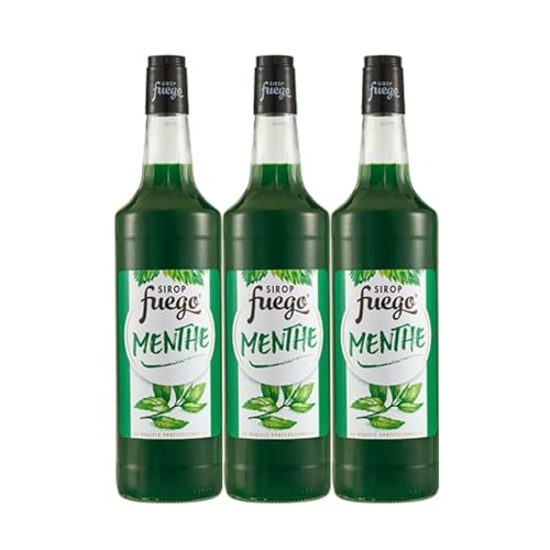 Sirop Fuego Menthe verte - 3 x 1L von Wine And More