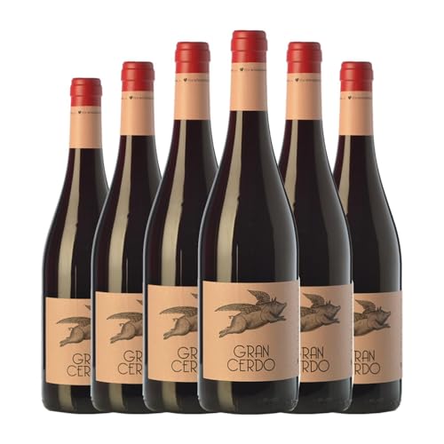 Wine Love Gran Cerdo Jung 75 cl (Schachtel mit 6 Flaschen von 75 cl) von Distribuidor