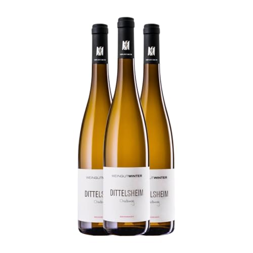 Winter Dittelsheim Chardonnay Trocken Ortswein 75 cl Weißwein (Karton mit 3 Flaschen von 75 cl) von Winter