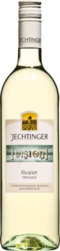 Winzergenossenschaft Jechtingen Jechtinger Rivaner Vision QbA trocken 2022 (1 x 0.75 l) von Winzergenossenschaft Jechtingen-Amoltern