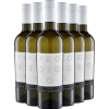 WirWinzer Select Teck 2022 6er Paket Chardonnay Puglia IGP von WirWinzer Select Teck