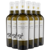 WirWinzer Select Teck 2023 6er Paket Azienda Uggiano Seratina Vermentino Toscana IGP von WirWinzer Select Teck