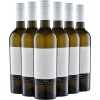 WirWinzer Select Teck 2023 6er Paket Pinot Grigio Puglia IGP von WirWinzer Select Teck