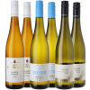 WirWinzer Select 2023 Riesling Premium-Paket von WirWinzer Select