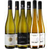 WirWinzer Select 2023 Riesling Selektion-Paket von WirWinzer Select