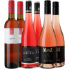 WirWinzer Select 2023 Rosé Selektion-Paket von WirWinzer Select