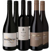 WirWinzer Select  Rotwein Entdecker-Paket von WirWinzer Select