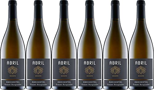 Abril ZEIT Grauer Burgunder "Ameisental" 2022 Trocken Ecovin Bio (6 x 0.75 l) von WirWinzer