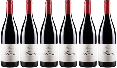 Algueira Algueira Fincas Ribeira Sacra DO 2017 Trocken (6 x 0.75 l) von WirWinzer