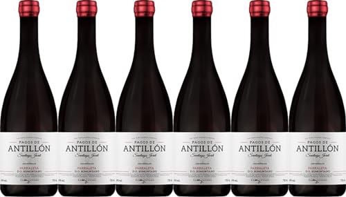 Altos de Antillón Pagos de Antillon Parraleta Somontano DO 2021 Trocken (6 x 0.75 l) von WirWinzer