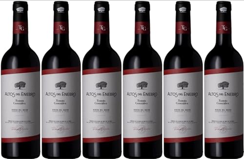 Altos del Enebro Altos del Enebro Tomás González Ribera del Duero DO 2023 Trocken (6 x 0.75 l) von WirWinzer