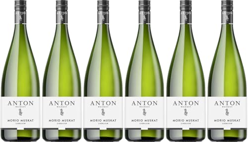 Anton Morio Muskat 2023 Lieblich (6 x 1.0 l) von WirWinzer