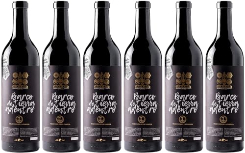 Bodegas El Lomo Barco de Tierra Adentro Tinto Islas Canarias DO 2021 Trocken (6 x 0.75 l) von WirWinzer