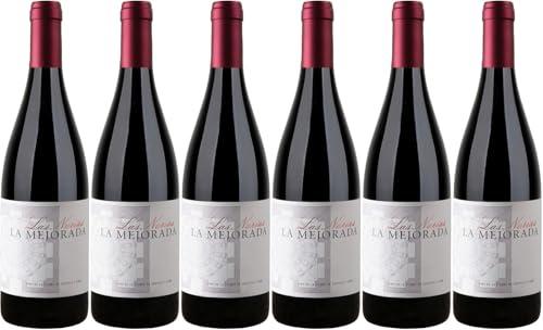 Bodegas La Mejorada La Mejorada Las Norias Castilla y León VT 2019 Trocken (6 x 0.75 l) von WirWinzer