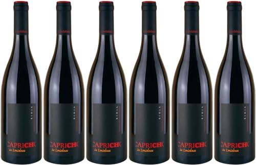 Bodegas Landaluce Capricho de Landaluce Rioja DOCa 2020 Trocken (6 x 0.75 l) von WirWinzer