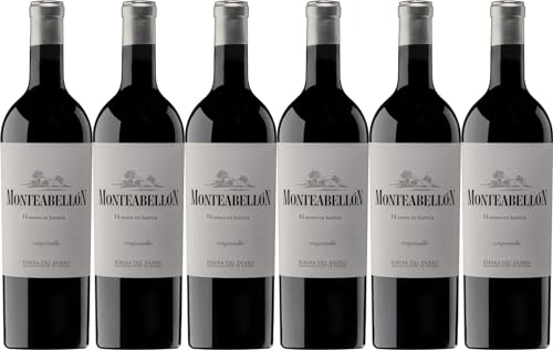 Bodegas y Viñedos Monteabellón Monteabellón 14 Meses Magnum Ribera del Duero DO 2020 Trocken (6 x 1.5 l) von WirWinzer