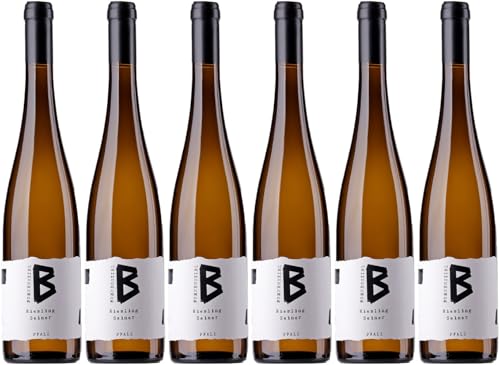 Bohnenstiel Riesling Seiner Im Wermuth 2023 Trocken (6 x 0.75 l) von WirWinzer