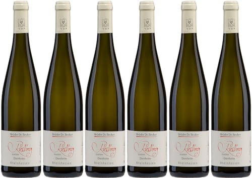 Brüder Dr. Becker Dienheim Riesling 2022 Trocken Demeter Bio (6 x 0.75 l) von WirWinzer