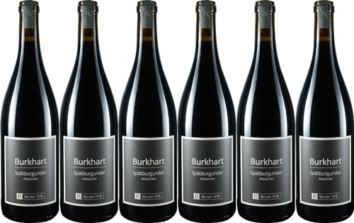 Burkhart Spätburgunder Alexander 2020 Trocken Demeter Bio (6 x 0.75 l) von WirWinzer