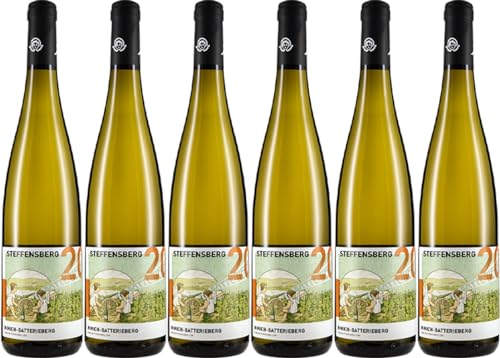 C.A. Immich-Batterieberg Enkircher STEFFENSBERG Riesling 2022 (6 x 0.75 l) von WirWinzer