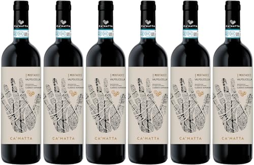 Camatta Valpolicella Classico Superiore Ripasso DOC 2020 Trocken Bio (6 x 0.75 l) von WirWinzer