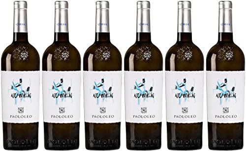 Cantine Paololeo Numen Chardonnay Salento IGP 2024 Trocken (6 x 0.75 l) von WirWinzer