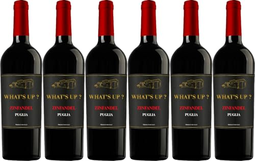 Cantine Santa Barbara What's up? Salento IGP 2022 Trocken (6 x 0.75 l) von WirWinzer