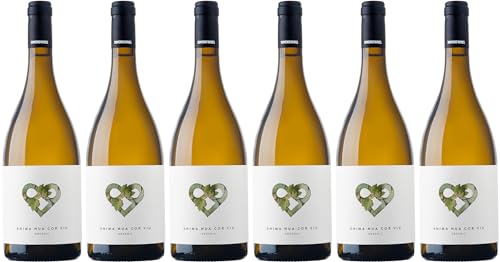 Cellers Domenys Anima Nua Cor Viu Blanco Conca de Barbera DO 2022 Trocken (6 x 0.75 l) von WirWinzer