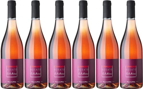 Cervinago Cervinago Rosato Calabria IGP 2022 Trocken Bio (6 x 0.75 l) von WirWinzer