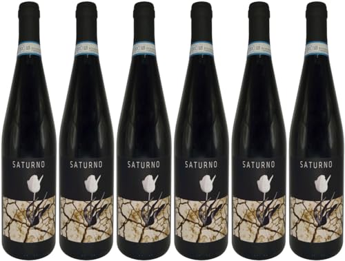 Clio Cicogni Saturno Val d´Arno di Sopra DOC 2019 Trocken (6 x 0.75 l) von WirWinzer