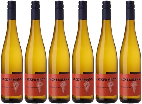 Dackermann Sauvignon Blanc 2024 Trocken (6 x 0.75 l) von WirWinzer