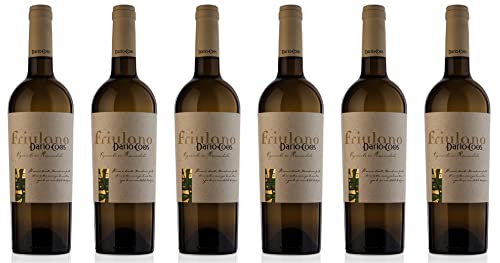 Dario Coos Friulano Colli Orientali del Friuli DOC 2024 Trocken (6 x 0.75 l) von WirWinzer