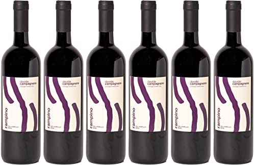 Davide Campagnano Rampino Terre del Volturno IGP 2021 Trocken Bio (6 x 0.75 l) von WirWinzer