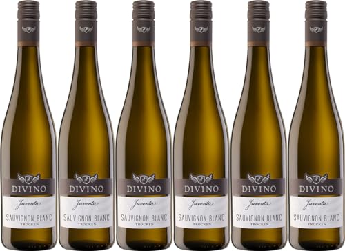 Divino eG JUVENTA Sauvignon Blanc 2024 Trocken (6 x 0.75 l) von WirWinzer