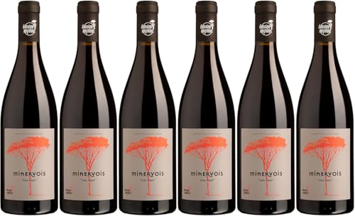 Domaine Ampelous "Chez Pujol" Minervois AOP 2019 Trocken (6 x 0.75 l) von WirWinzer