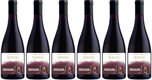 Domaine de l'Églisette Modoki Terrasses du Larzac AOP 2020 (6 x 0.75 l) von WirWinzer