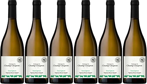 Domaine du Champ Chapron Sauvignon Val de Loire IGP 2022 Trocken (6 x 0.75 l) von WirWinzer