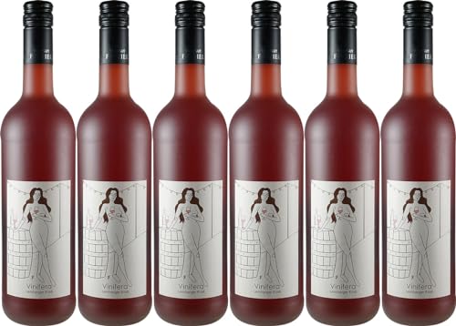 Fischer Heilbronn Heilbronner Stiftsberg Vinifera Lemberger Rosé 2022 Lieblich (6 x 0.75 l) von WirWinzer