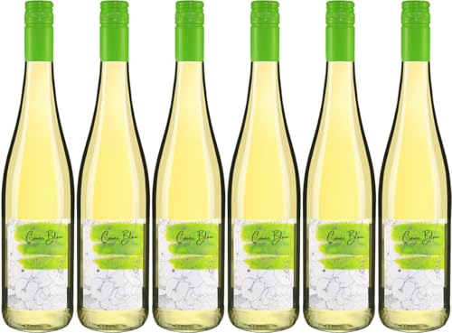 Forster Winzerverein Cuvee Blanc 2023 Trocken (6 x 0.75 l) von WirWinzer