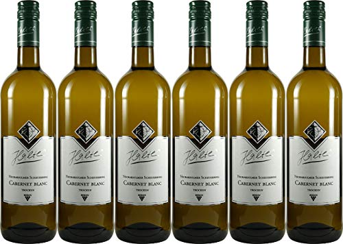 Halter Cabernet blanc 2021 Trocken Ecovin Bio (6 x 0.75 l) von WirWinzer