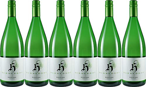 Herrenhof Elmar Schmitzer & Sohn Riesling 2023 Trocken Ecovin Bio (6 x 1.0 l) von WirWinzer